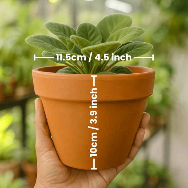 terracotta pot dimension colorcotta Indigo Dusk