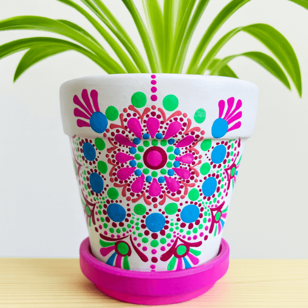 candy bloom terracotta pot colorcotta Candy Bloom